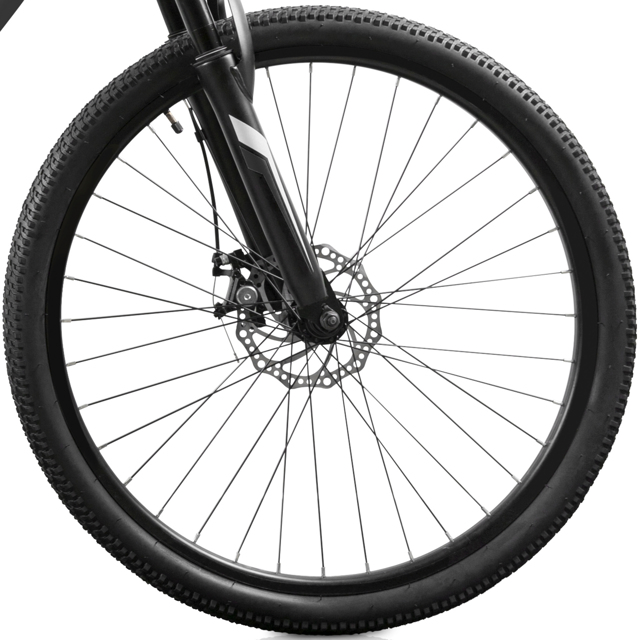 GT Peace Single Speed 